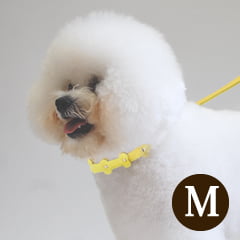 �淿���Ѽ��ء�ASHU���ѥ��ƥ�ܡ��󥫥顼 M������