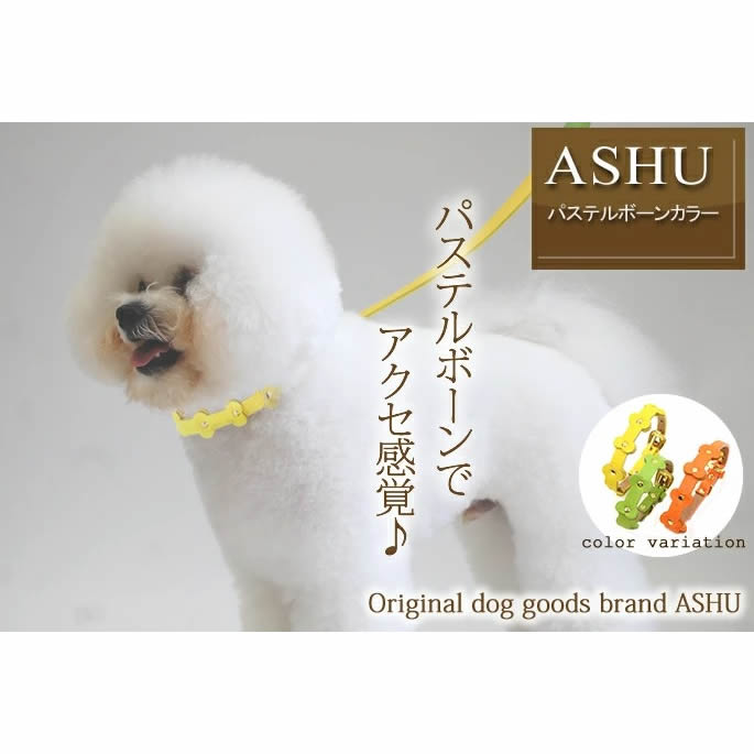 �淿���Ѽ��ء�ASHU���ѥ��ƥ�ܡ��󥫥顼 M������