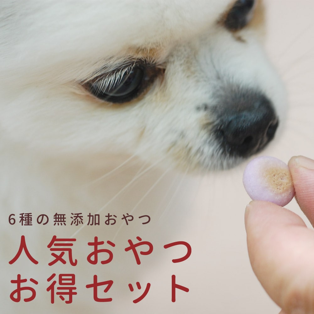 ѡ͵Ĥå 6̵źä(̵źåܡ 60g50g˽缡ڤؤ)