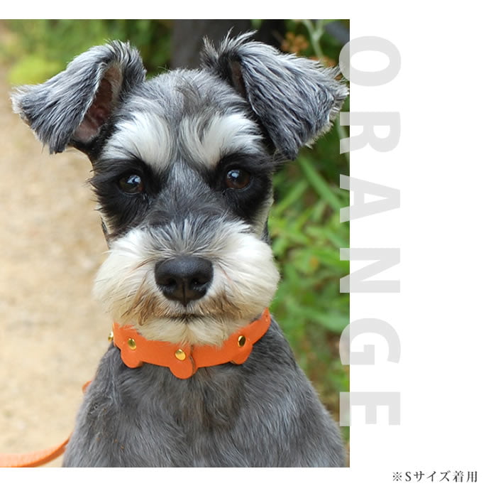 �淿���Ѽ��ء�ASHU���ѥ��ƥ�ܡ��󥫥顼 M������