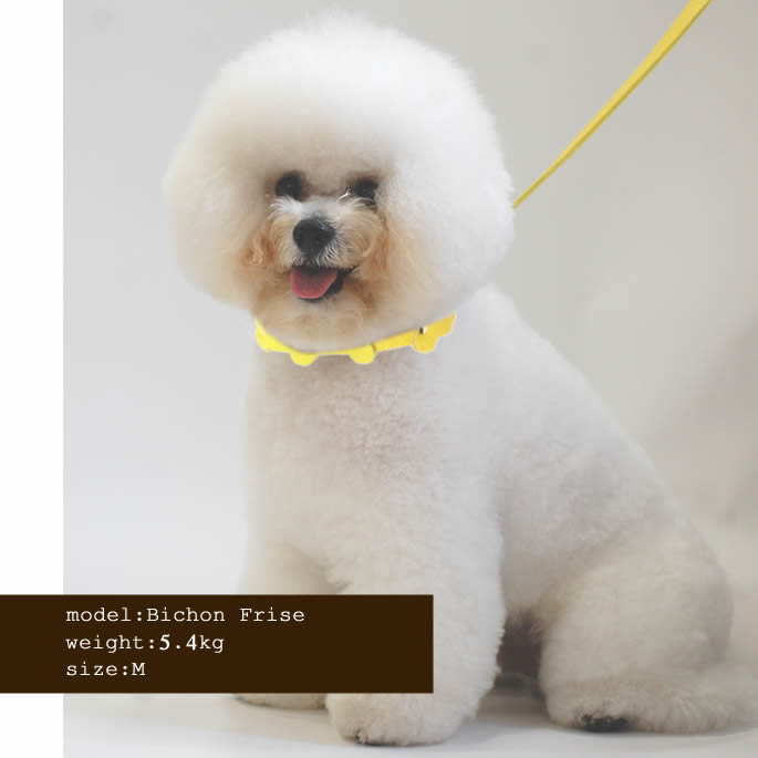 �淿���Ѽ��ء�ASHU���ѥ��ƥ�ܡ��󥫥顼 M������