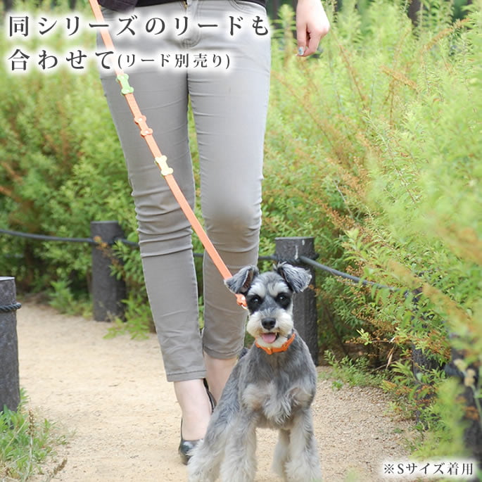 �淿���Ѽ��ء�ASHU���ѥ��ƥ�ܡ��󥫥顼 M������