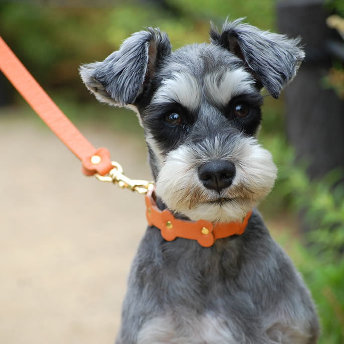 �淿���Ѽ��ء�ASHU���ѥ��ƥ�ܡ��󥫥顼 M������