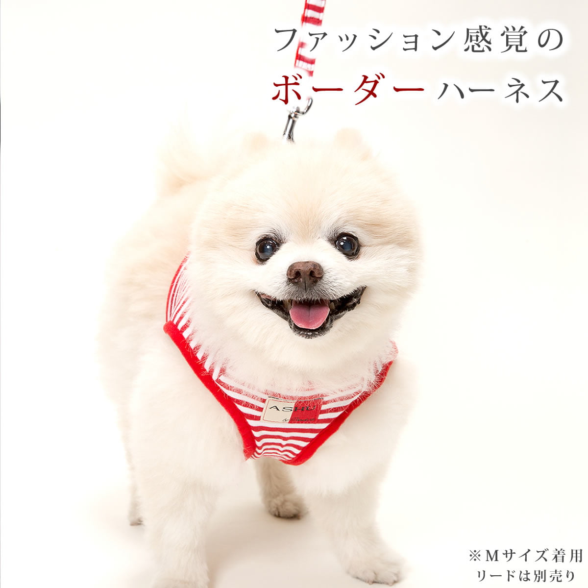 小型犬用ハーネス｜ASHU ウェアハーネス ボーダー Sサイズ/M
