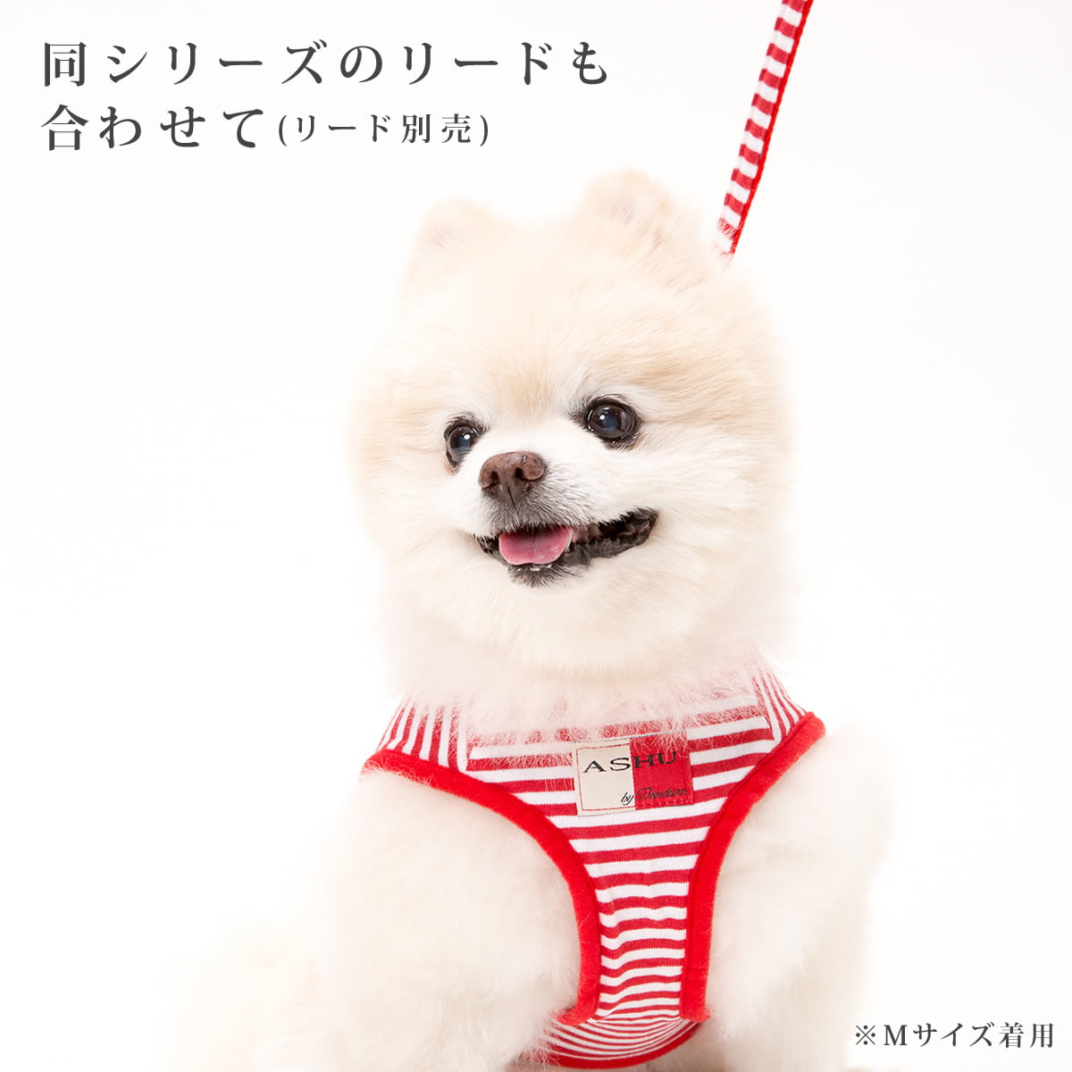 小型犬用ハーネス｜ASHU ウェアハーネス ボーダー Sサイズ/M