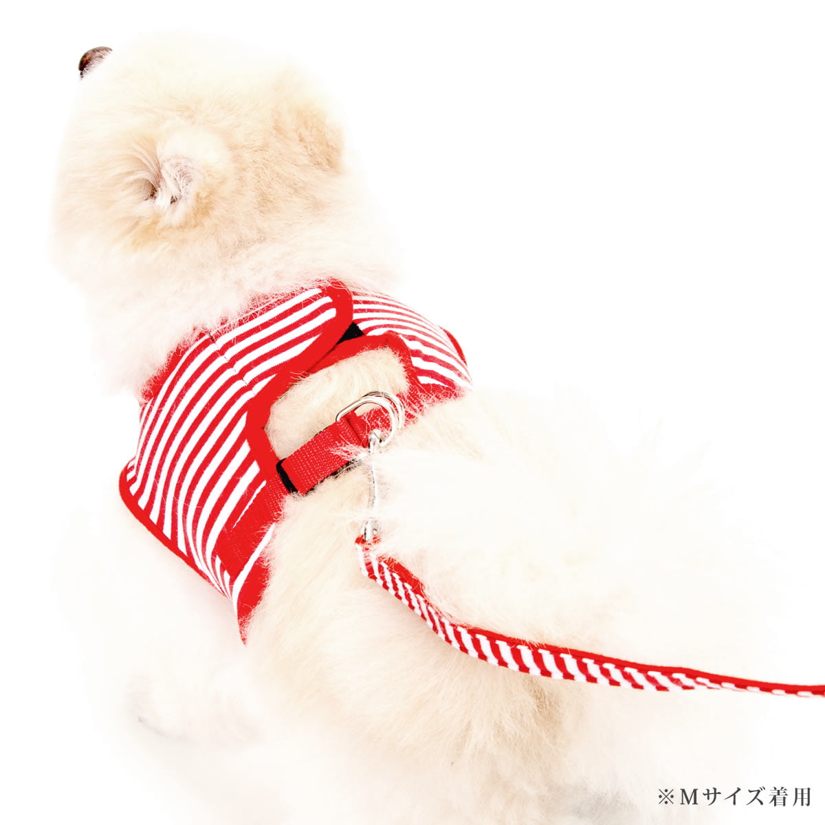 �������ѥϡ��ͥ���ASHU���������ϡ��ͥ� �ܡ����� S�������ڥ꡼�ɤ�������