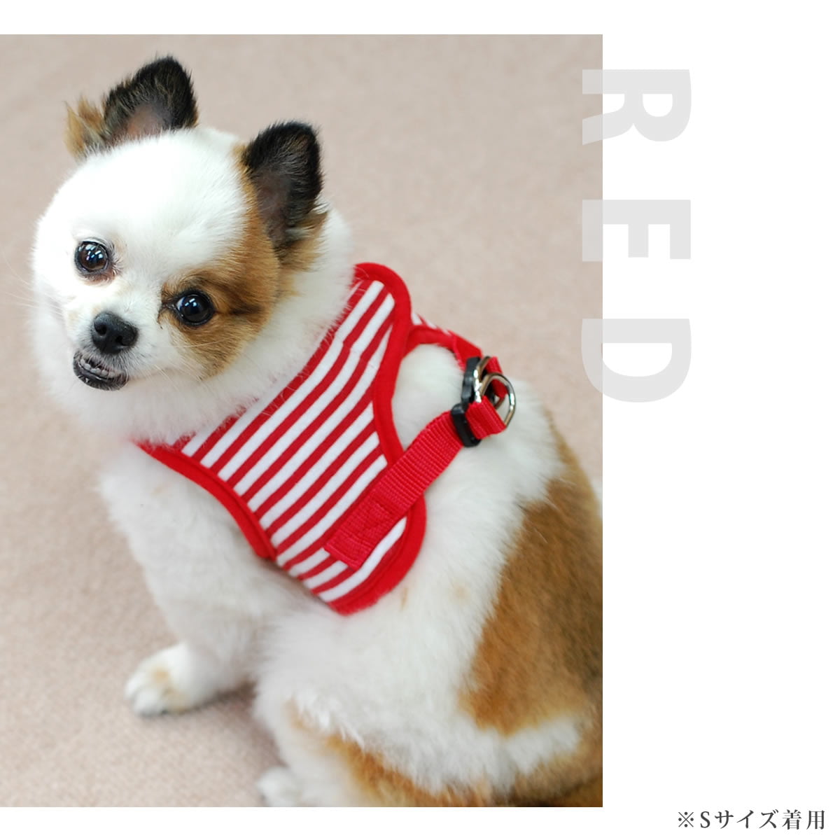 Etna Red スペイン製 高級犬用リード（小型犬　中型犬） Etna Red スペイン製 高級犬用リード（小型犬中型犬）