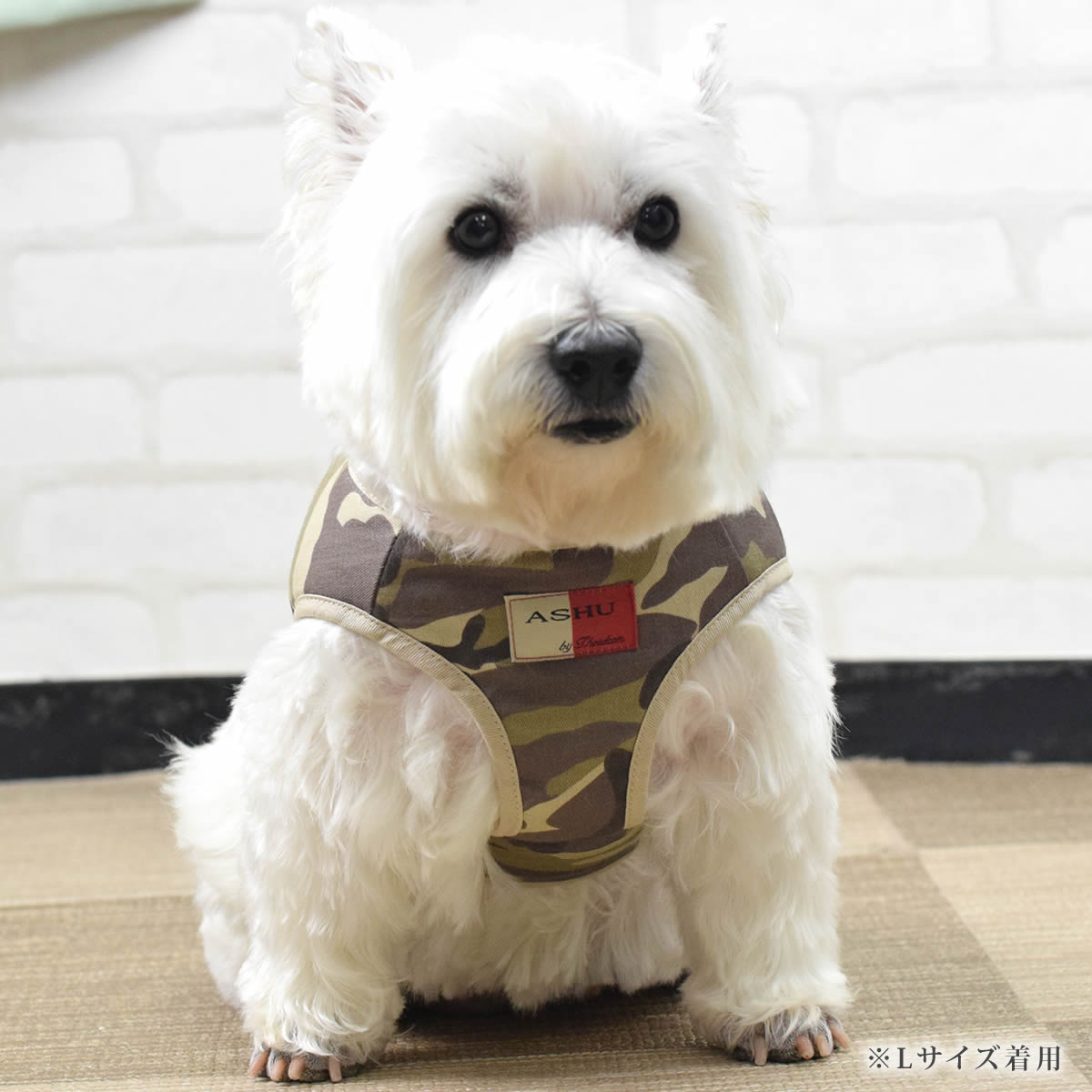 ѥϡͥ淿ASHUϡͥº̡L