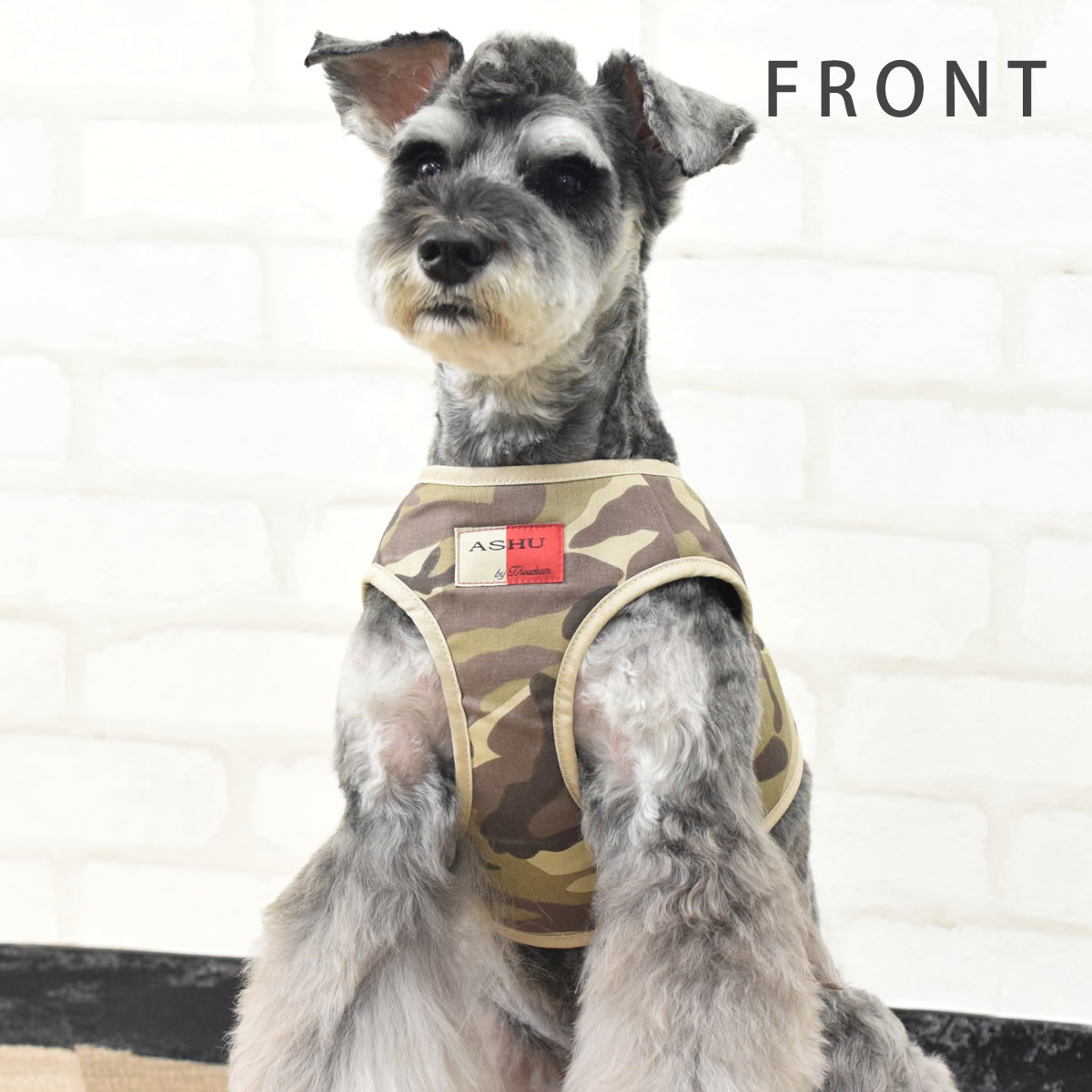 ѥϡͥ淿ASHUϡͥº̡L