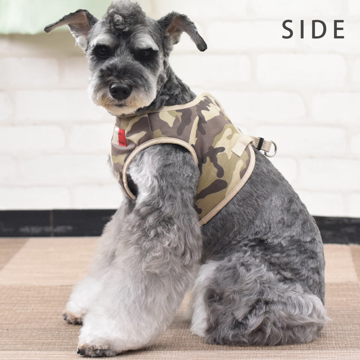 ѥϡͥ淿ASHUϡͥº̡L