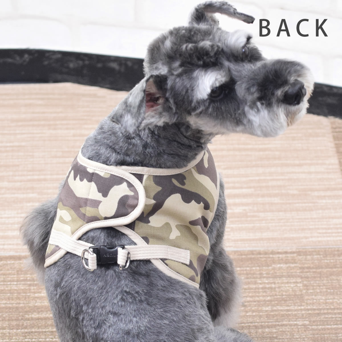 ѥϡͥ淿ASHUϡͥº̡L