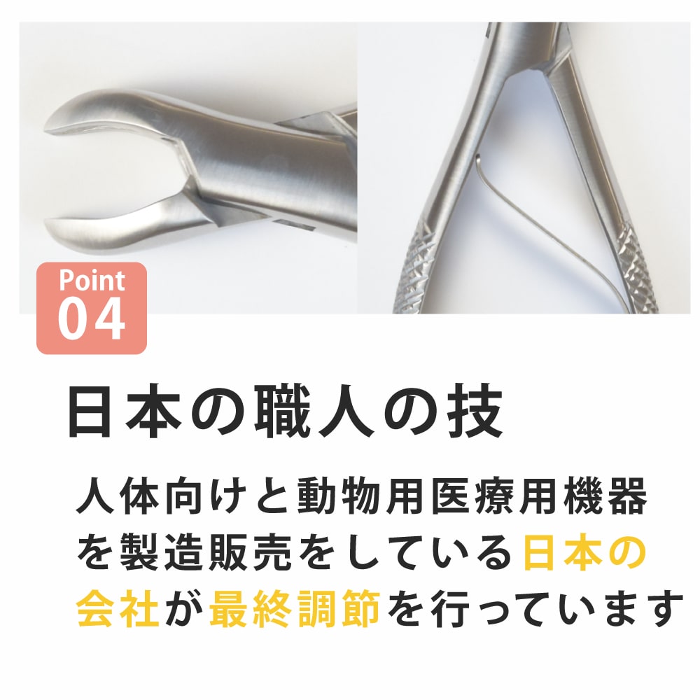 帝塚山ハウンドカム 歯石取りペンチ 犬用 猫用 ステンレス Amazon.co.jp: 帝塚山ハウンドカム 犬 猫 歯石取りペンチ 動物
