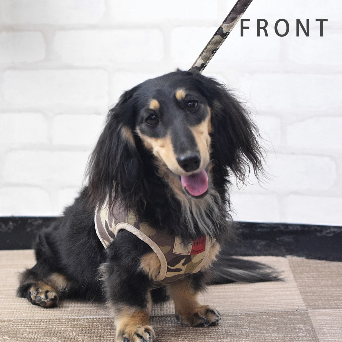 ѥϡͥASHUϡͥº̡åȡM