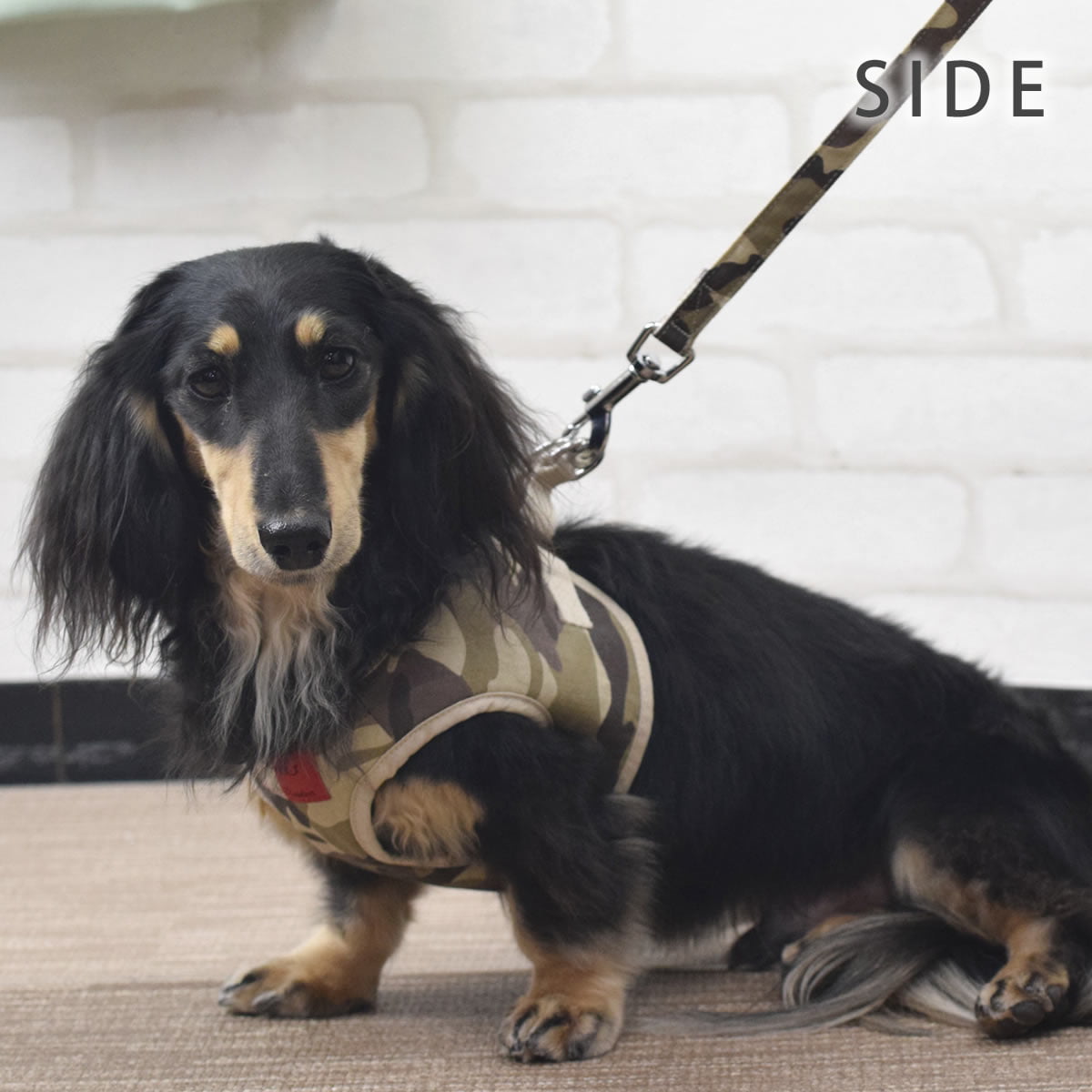 ѥϡͥASHUϡͥº̡åȡM