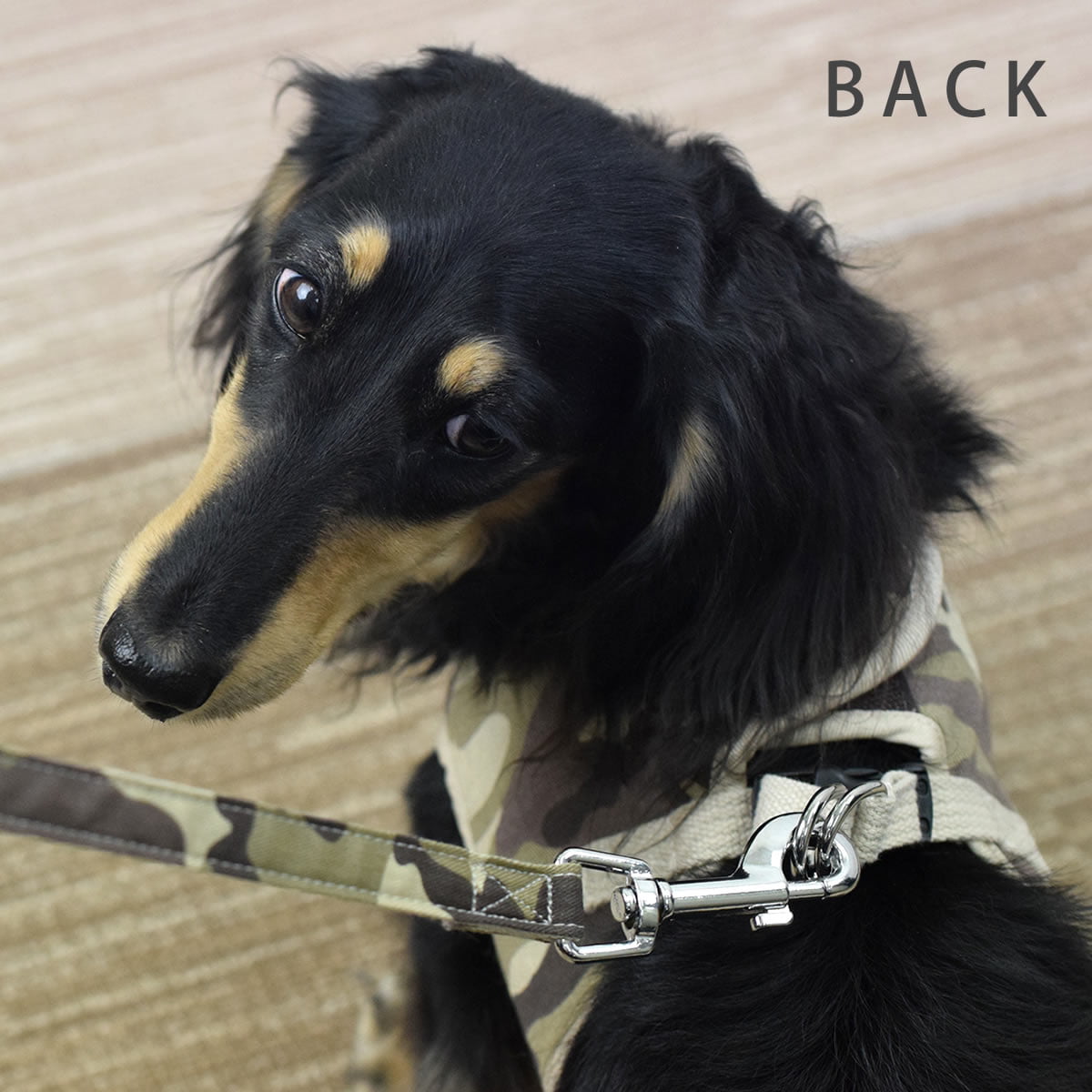 ѥϡͥASHUϡͥº̡åȡM