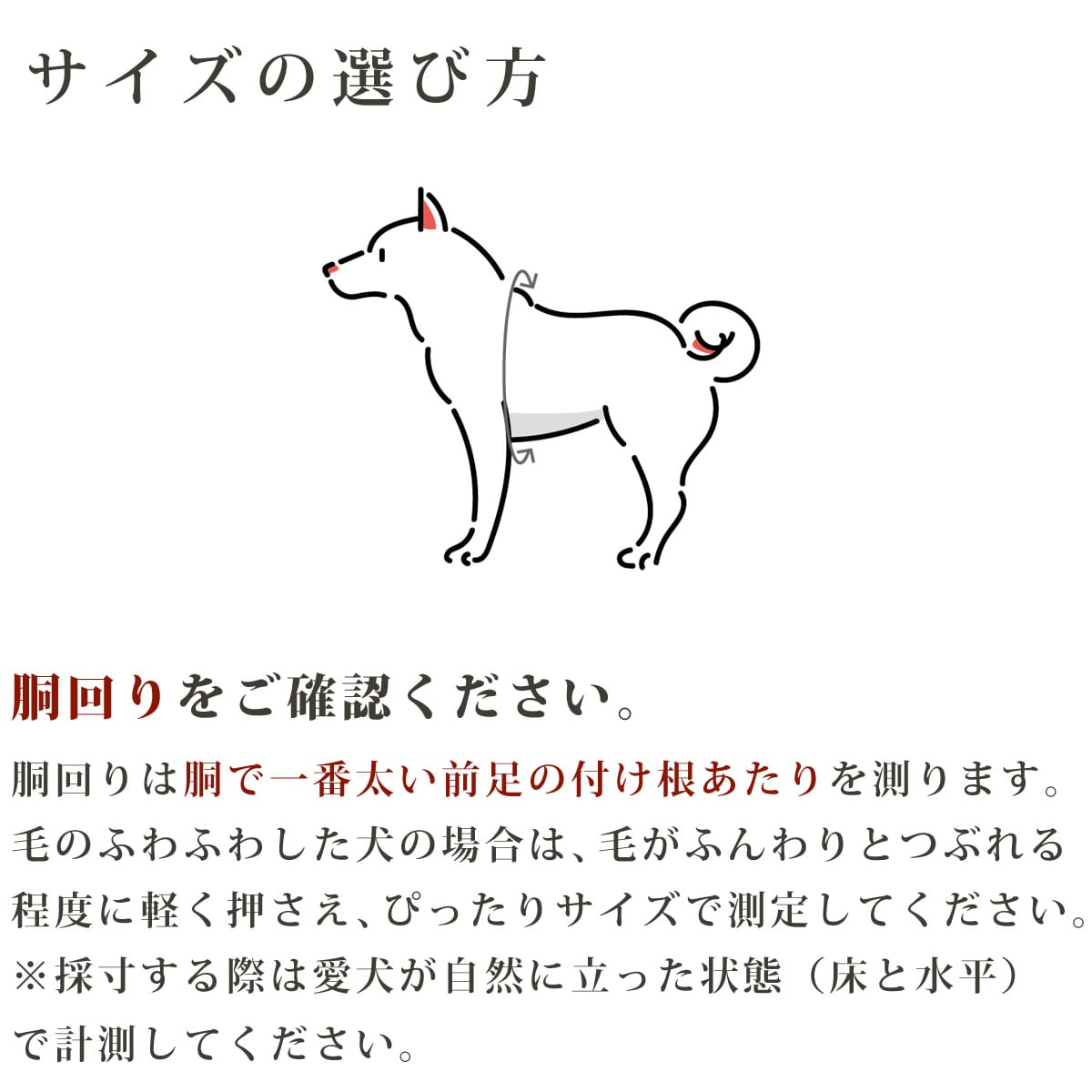 ѥϡͥASHUϡͥº̡åȡM