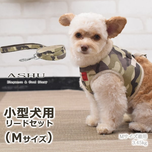 ѥϡͥASHUϡͥº̡åȡM