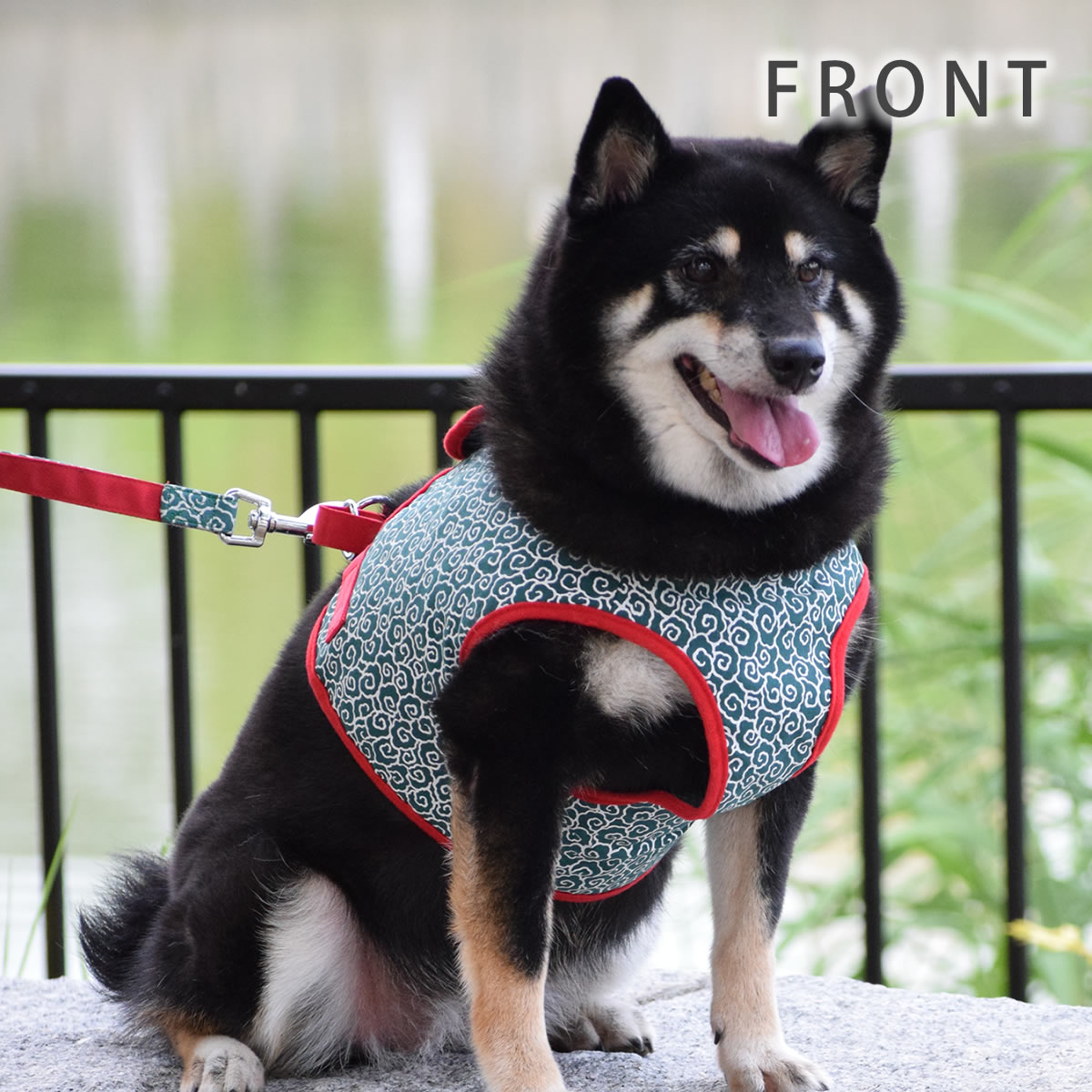 ASHUϡͥ 𥻥å XL(淿)