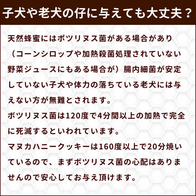 ���ѥ��å����å��ꥸ�ʥ륯�å������ޥ̥��ϥˡ����å���