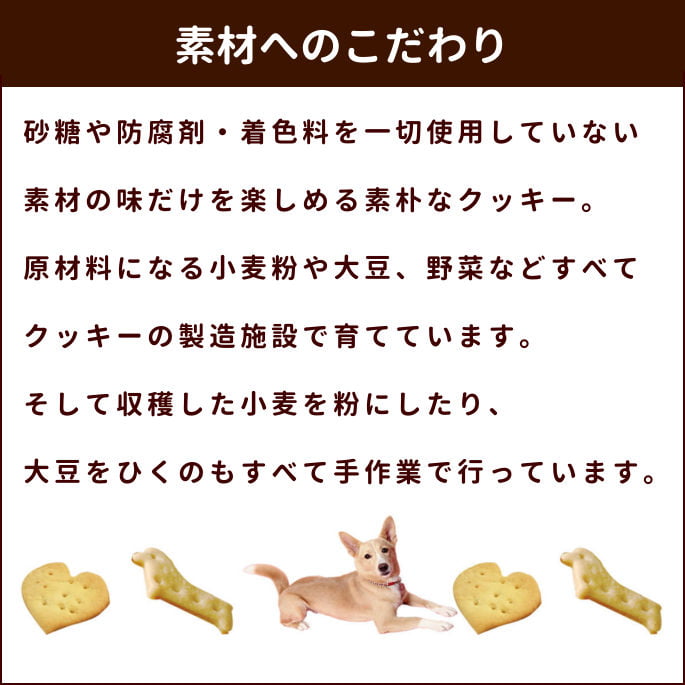 ���ѥ��å����å��ꥸ�ʥ륯�å������ޥ̥��ϥˡ����å���