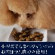 �ȥ饤�ץɥ饤���ɥå��ա��ɡ� SAP��ྮγ��907g�ڽ������̵����