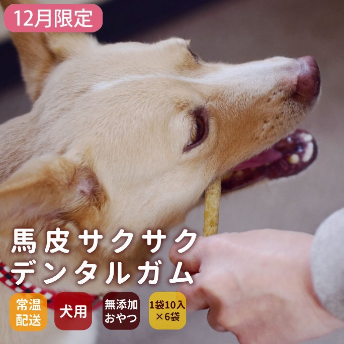 ��12�����۰����ѥ��� ���饵�������ǥ󥿥륬�� 5�ޥ��å�+1�ĥץ쥼���