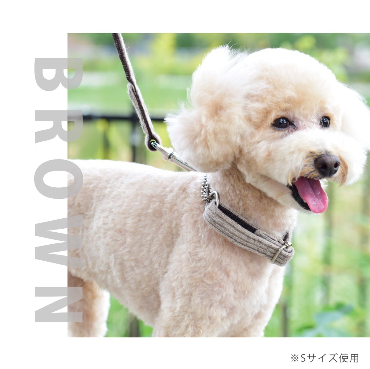 ASHU 犬用 ニット ハーフチョーク Sサイズ 小型犬用