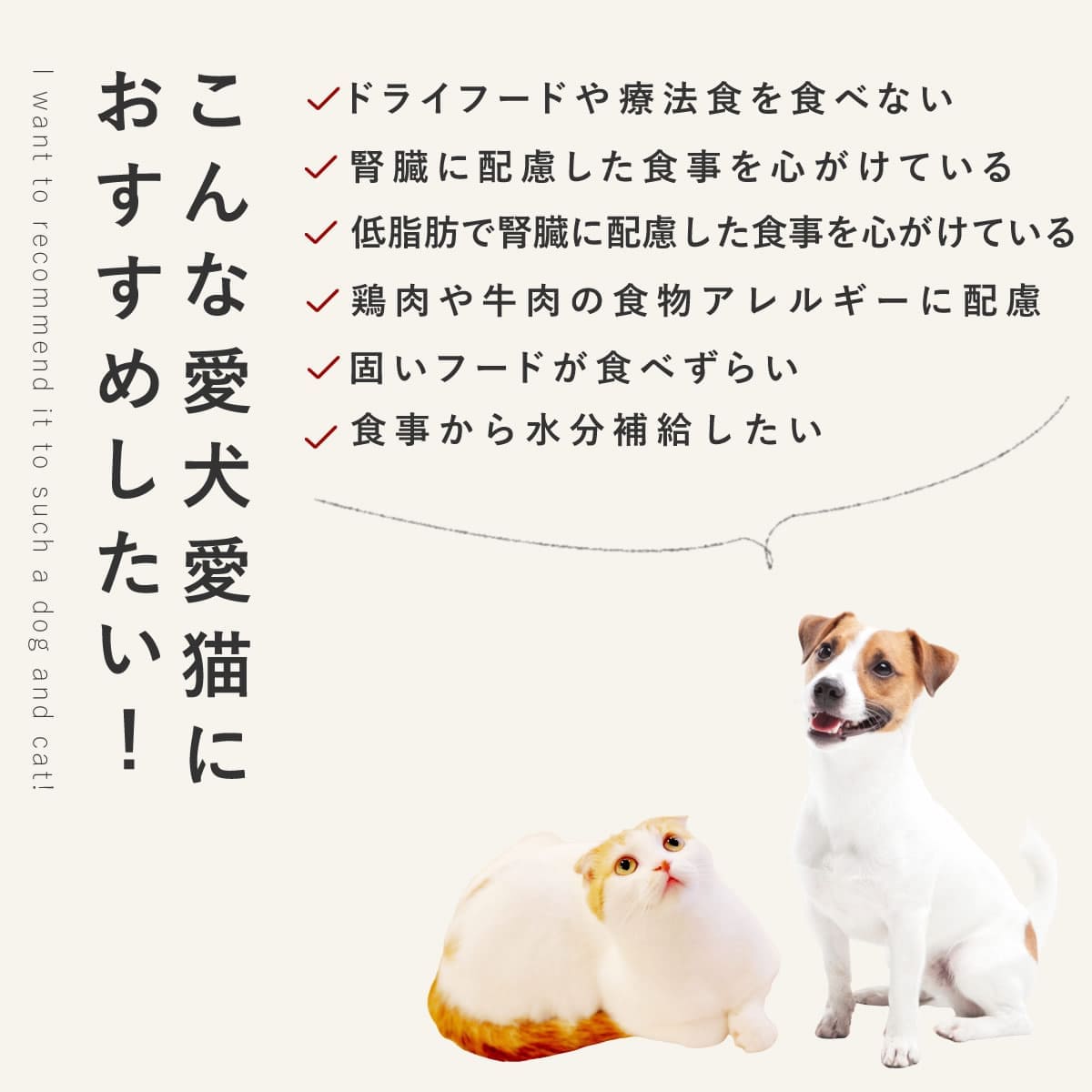 ������ǭ�� ���ꤴ�Ϥ� �����Υ����פ����� 6��/12��/24��/���å� �ڥϥ���ɥ��࿩Ʋ�ۡ������ء�