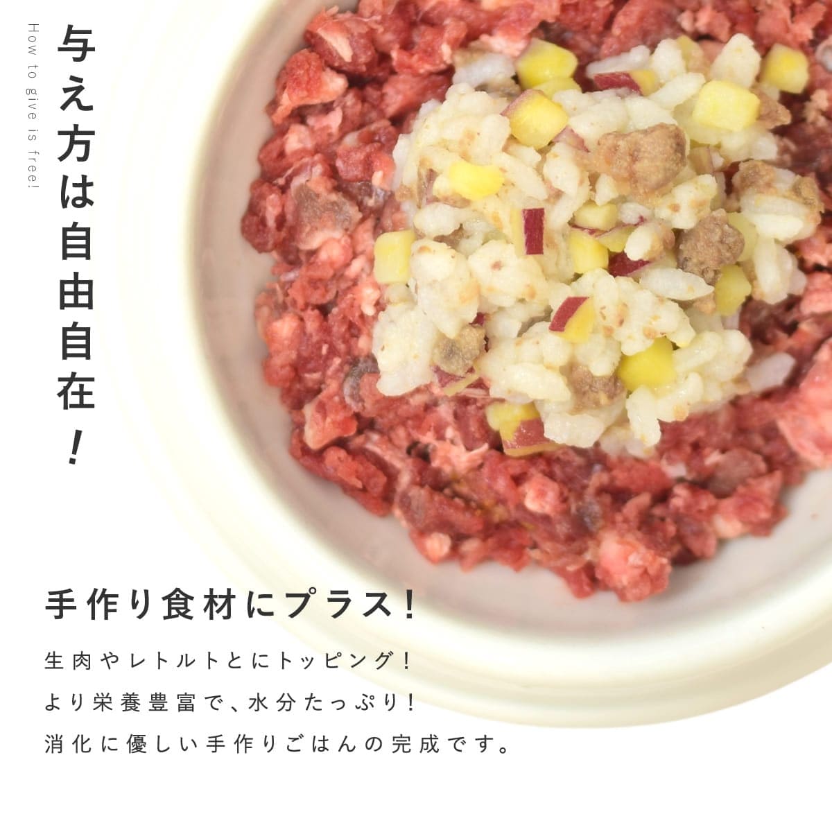 ������ǭ�� ���ꤴ�Ϥ� �����Υ����פ����� 6��/12��/24��/���å� �ڥϥ���ɥ��࿩Ʋ�ۡ������ء�