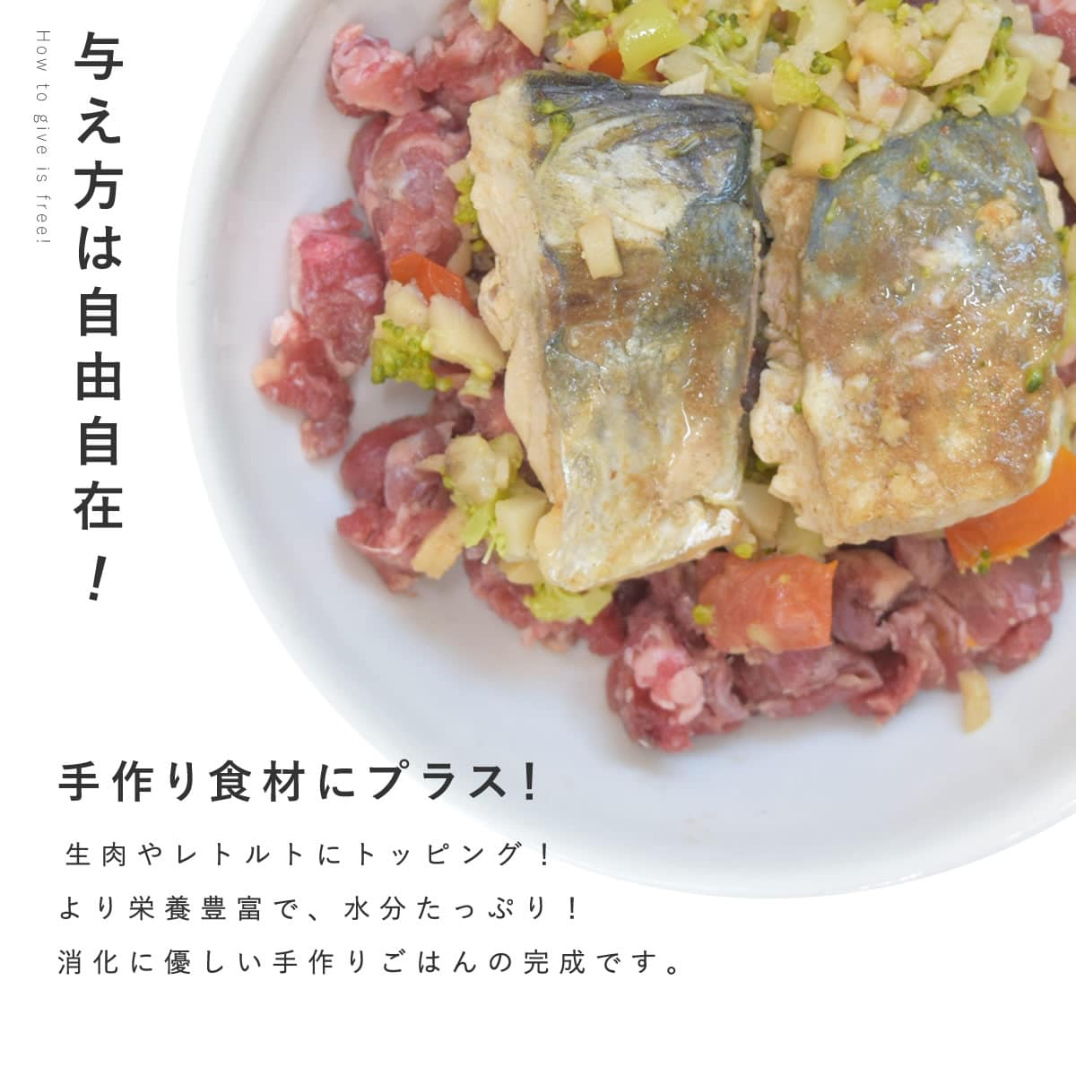 ������ǭ�� ���ꤴ�Ϥ� �ߥ륯��Ω�ƤΥ������ѥåĥ�6��/12��/24��/���åȡ������ء� �ڥϥ���ɥ��࿩Ʋ��