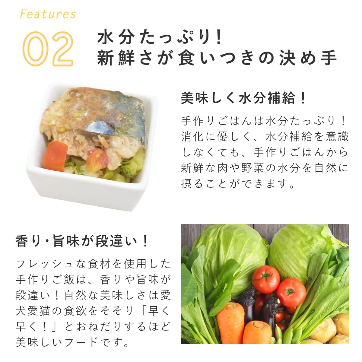 ������ǭ�� ���ꤴ�Ϥ� �ߥ륯��Ω�ƤΥ������ѥåĥ�6��/12��/24��/���åȡ������ء� �ڥϥ���ɥ��࿩Ʋ��