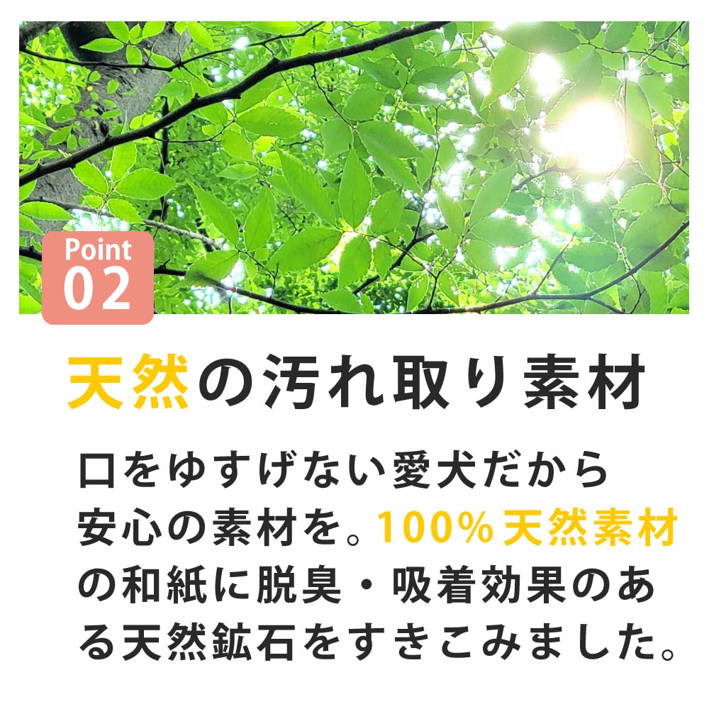 ��󥳻��Хȥ��