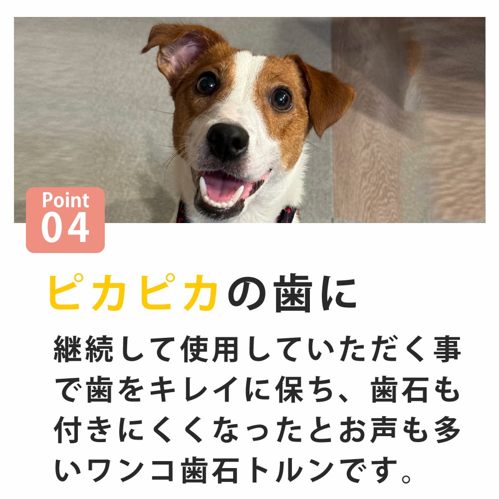 ��󥳻��Хȥ��