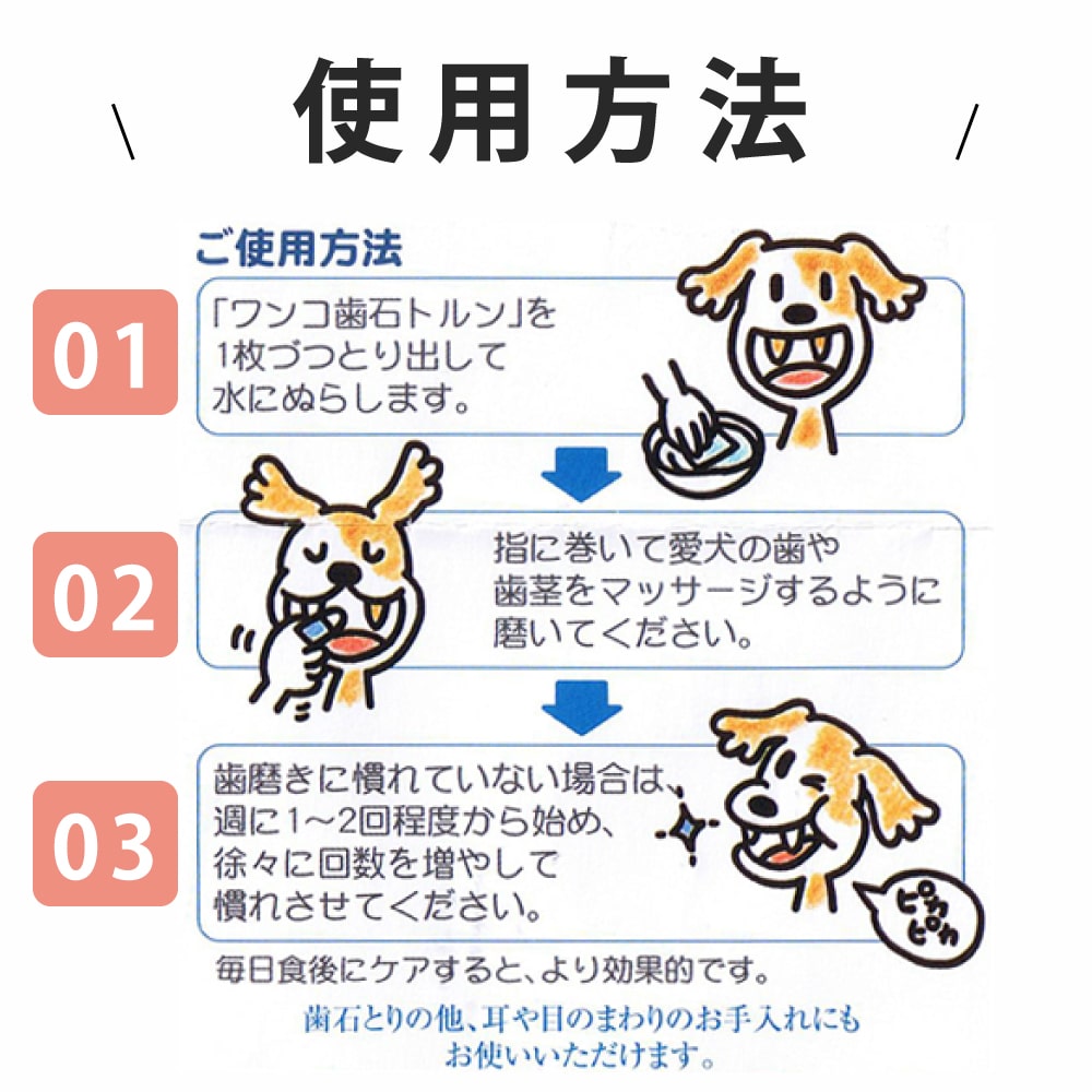 ��󥳻��Хȥ��