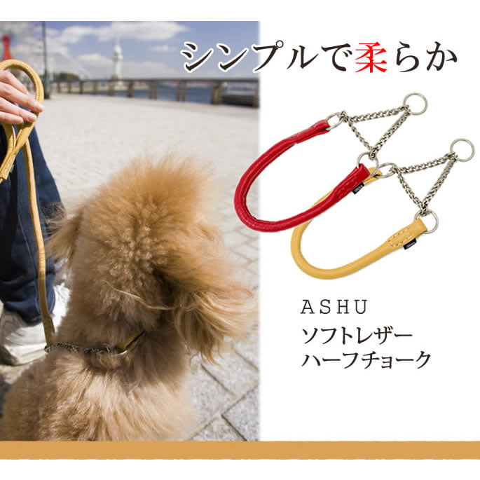 �������ѥϡ��ե��硼����ASHU�����եȥ쥶���ϡ��ե��硼�������������ӣӡ�MA