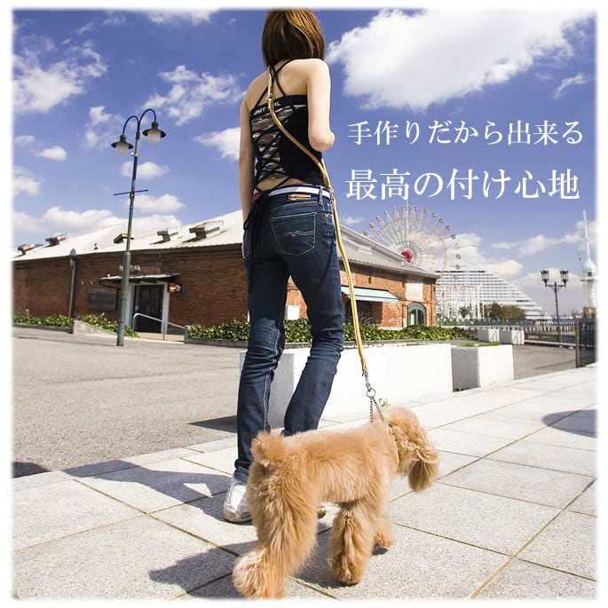 �������ѥϡ��ե��硼����ASHU�����եȥ쥶���ϡ��ե��硼�������������ӣӡ�MA
