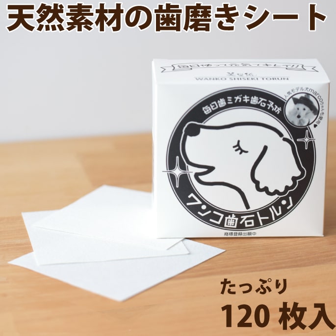 ��󥳻��Хȥ��