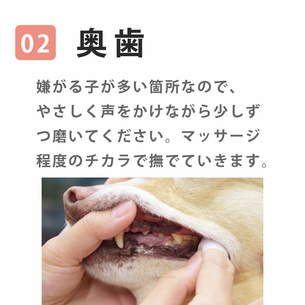 ��󥳻��Хȥ��