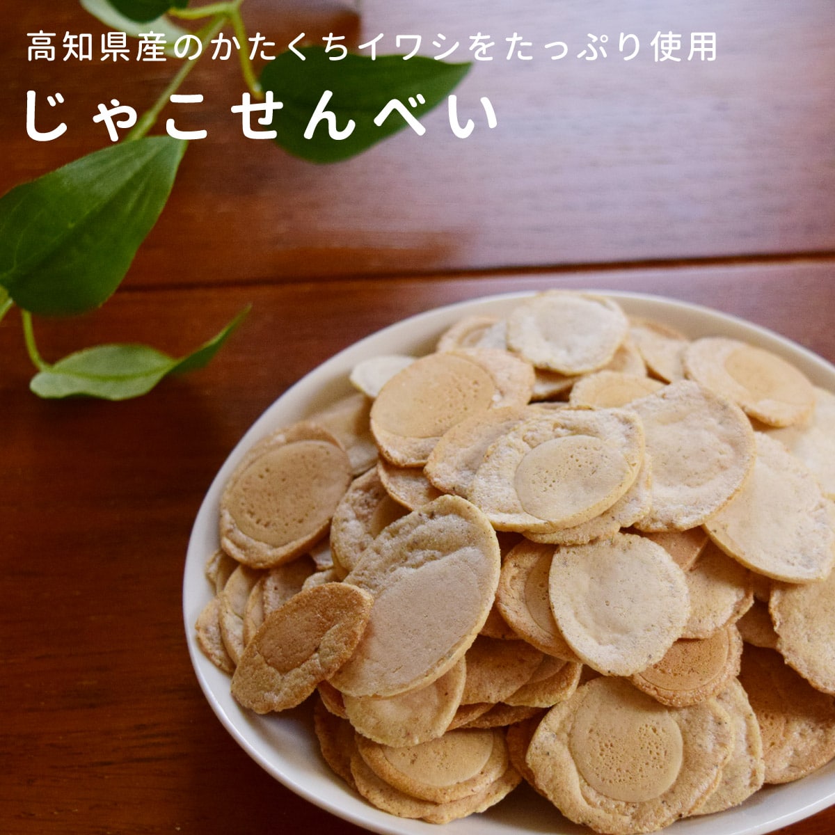 ���ѥ��å������åȡ�̵ź�ä���ĥХ饨�ƥ������åȡ�a0331��