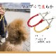 �������ѥϡ��ե��硼����ASHU�����եȥ쥶���ϡ��ե��硼�������������ӣӡ�MA