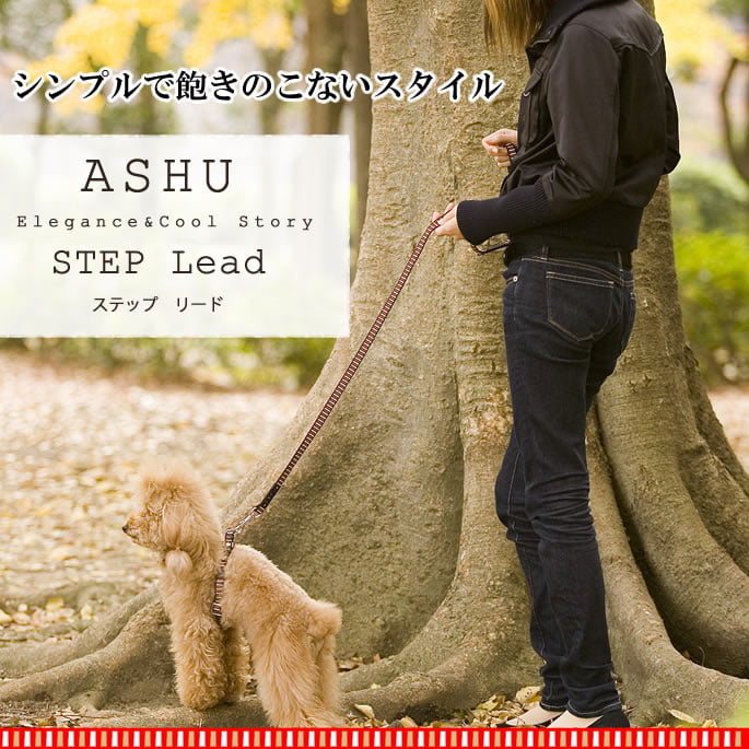 �������ѥ꡼�ɡ�ASHU��STEP�����ƥåס��꡼�ɡ�S������