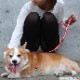 �������ѥ꡼�ɡ�ASHU��STEP�����ƥåס��꡼�ɡ�S������