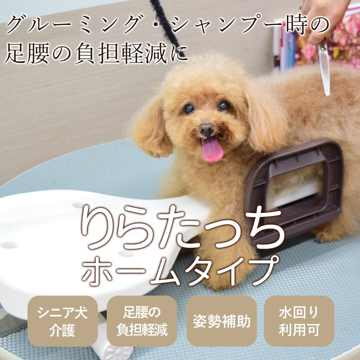 ڤ󤻡   餿ä ۡॿ ڻ­ôڸۡڢϤޤ714ۤɤ礬ޤ