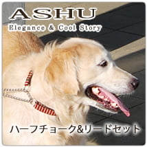 �緿���ѥϡ��ե��硼����ASHU��STEP�����ƥåס��ϡ��ե��硼�����꡼�ɡ�L���������å��緿����