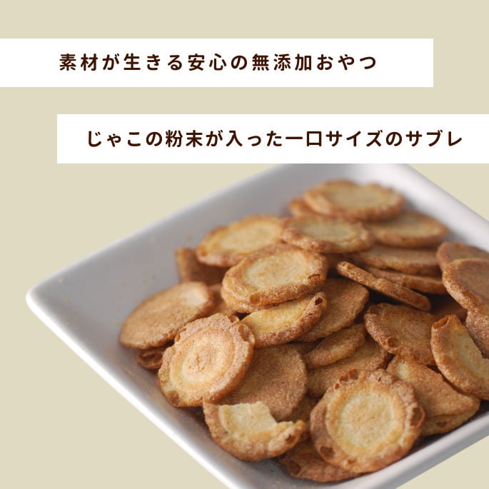 ѥåä㤳֥ ¿̵źä