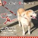 �緿���ѥϡ��ե��硼����ASHU��STEP�����ƥåס��ϡ��ե��硼�����꡼�ɡ�L���������å��緿����