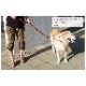 �緿���ѥϡ��ե��硼����ASHU��STEP�����ƥåס��ϡ��ե��硼�����꡼�ɡ�L���������å��緿����