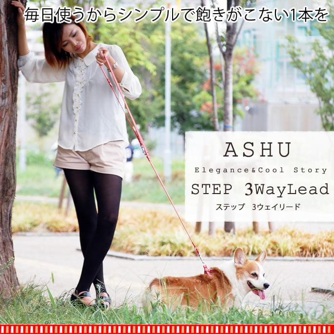 �緿���ѥ꡼�ɡ�ASHU��STEP�����ƥåס���way�꡼�ɡ�L���������淿�����緿����