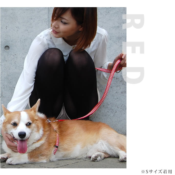 大型犬用リード｜ASHU STEP ステップ 3wayリード Lサイズ 中型