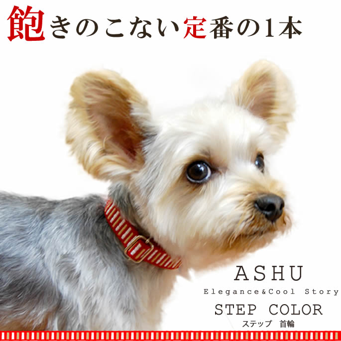 �������Ѽ��ء�ASHU��STEP�����ƥåס����顼��S������